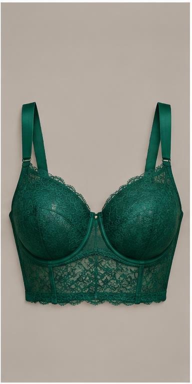 Emerald Lace Longline Bra